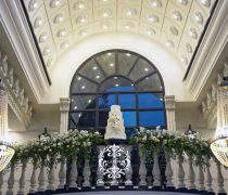 باغ تالار تک درخت در احمدآباد مستوفی