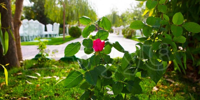 باغ تالار ساقدوش