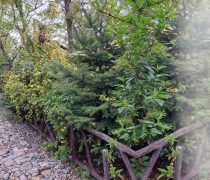 تالار پذیرایی باغ گل یاس