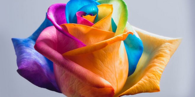 سالن آرایش و زیبایی ویدا, آرایشگاه ویدا, آرایشگاه عروس ویدا