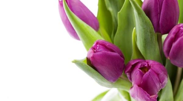 آتلیه ماه سیما