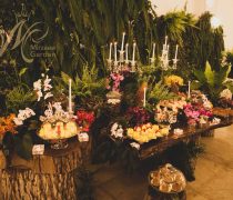 باغ تالار میرزایی