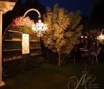 باغ تالار میرزایی