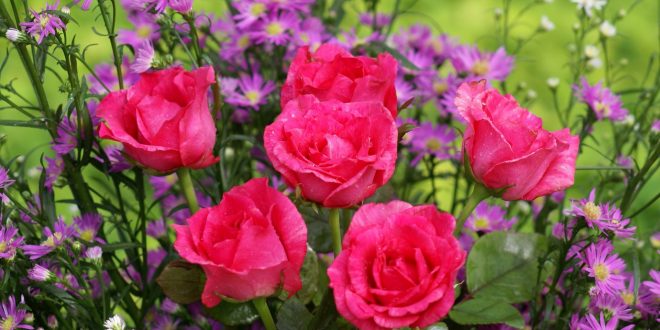 آتلیه عروس ماین