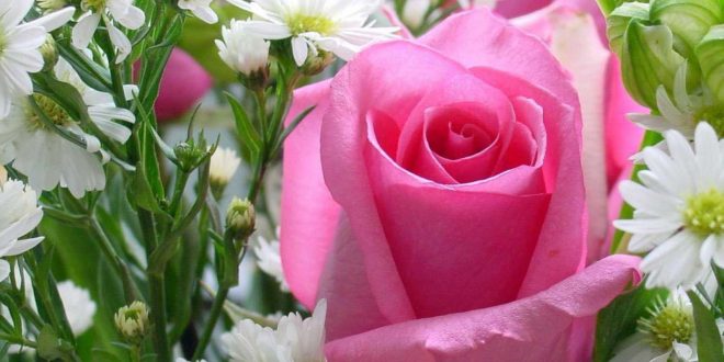 آتلیه فتو مینوسا