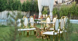 باغ عروسی میزبان آریل احمد اباد
