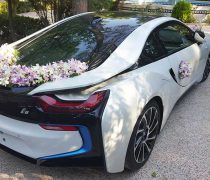 ماشین عروس باغ ایرانی