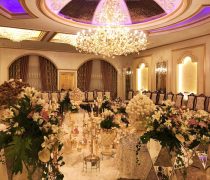 تالار مجلل ژابیز خیابان دولت