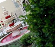 روف گاردن تالار عروسی پارسیس