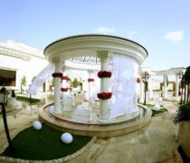 روف گاردن تالار عروسی پارسیس