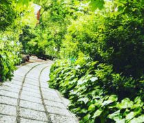 باغ تالار پرنیا