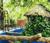 تالار عروسی باغ پرنیا