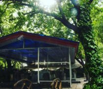 باغ تالار پرنیا