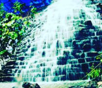 باغ تالار پرنیا