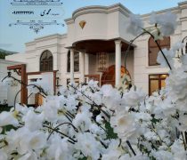 باغ عمارت الماس