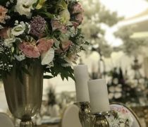 باغ تالار الماس
