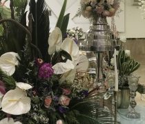 باغ عمارت الماس