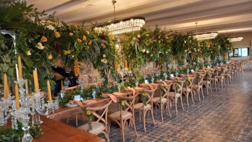 باغ تالار موگه