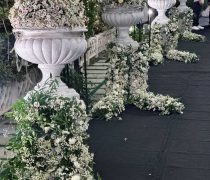 باغ عمارت ایلیا