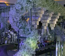 باغ عمارت ایلیا