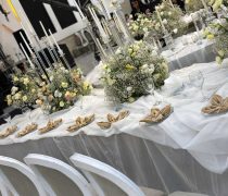 باغ عمارت ایلیا