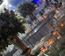 باغ عمارت ایلیا